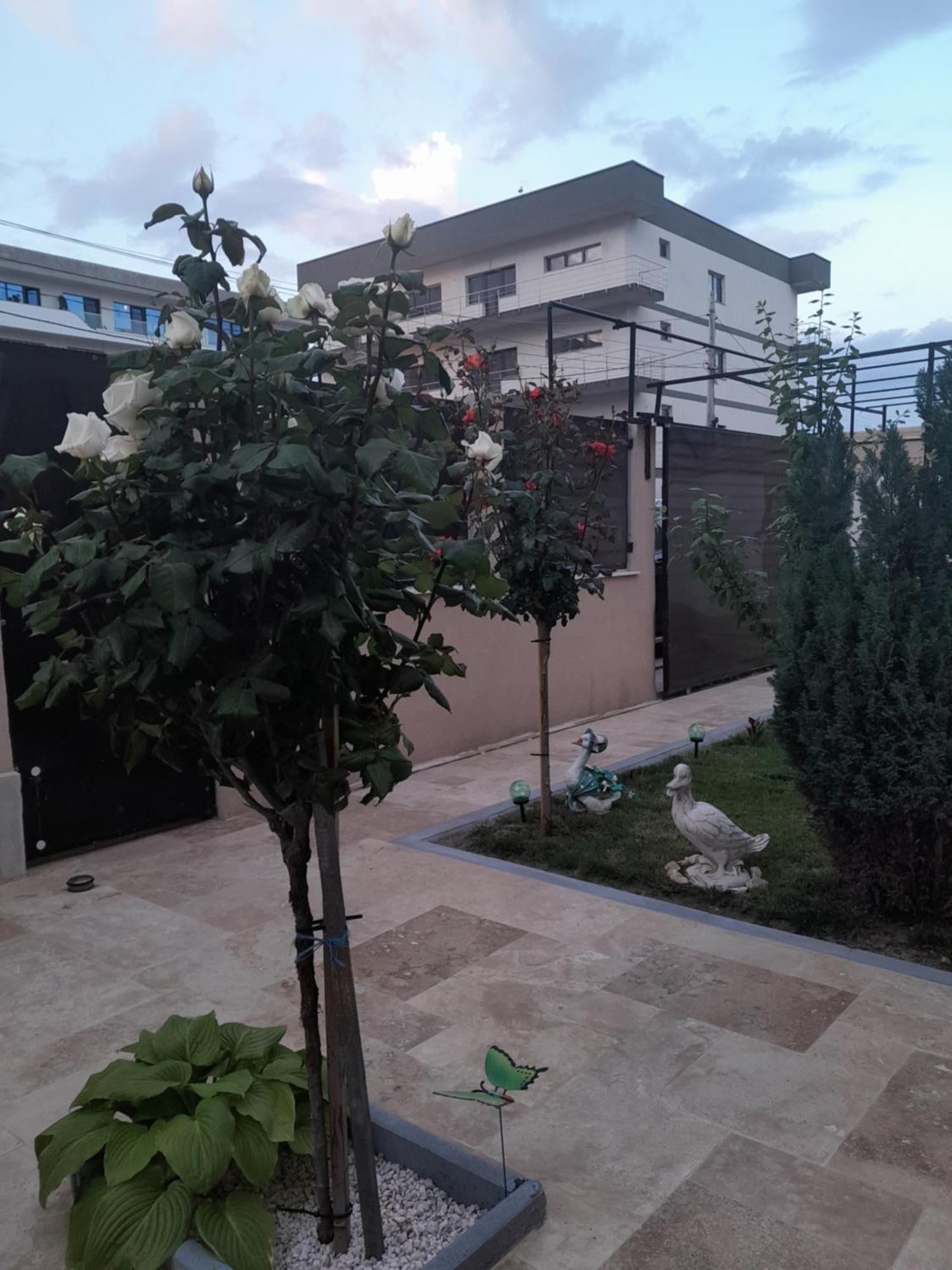 Năvodari Casa Andrei 아파트 외부 사진